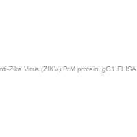 Recombivirus? Human Anti-Zika Virus (ZIKV) PrM protein IgG1 ELISA kit, 96 tests, Quantitative